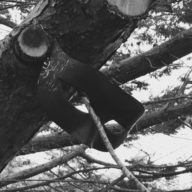 black and white photo of a Mardi Gras mask hung from a tree