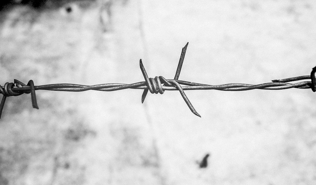 black and white photo of a single barb on a barbed wire fence